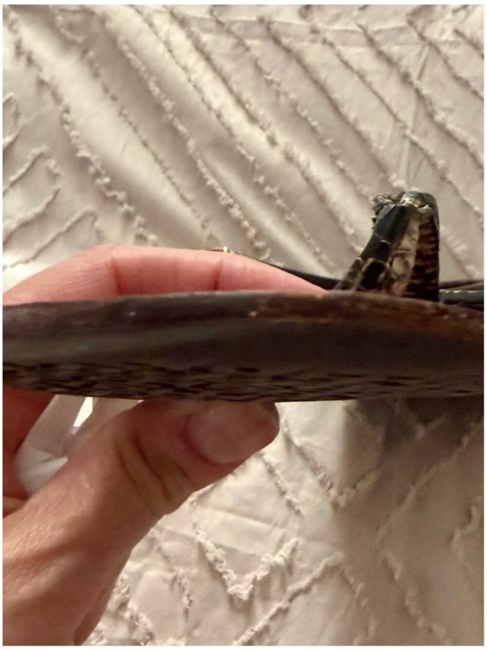 Tory Burch Phoebe Chandler Flat Leather Sandals with Snake-Print Trim - Picture 4 of 16